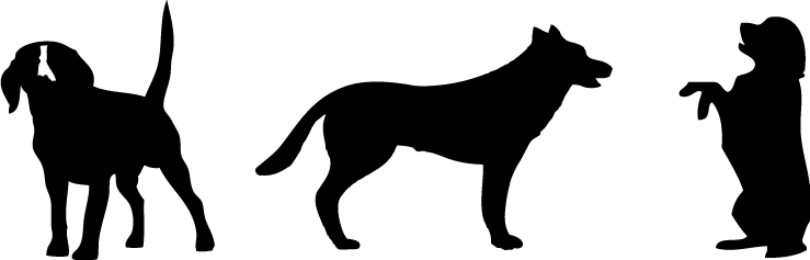 Silueta Home - Corralejo Natural Park (739x237), Png Download