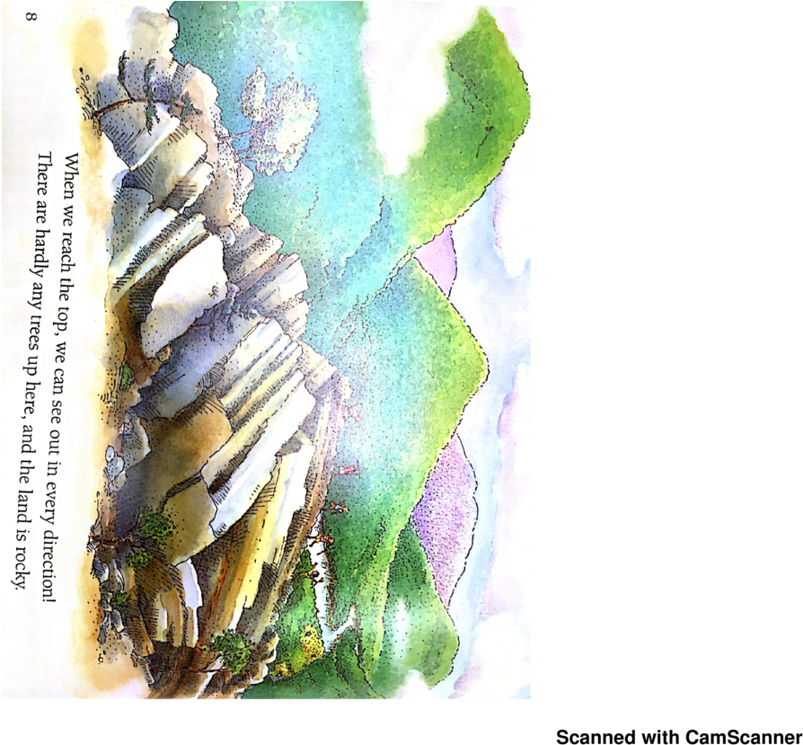 Floral Design (1200x848), Png Download