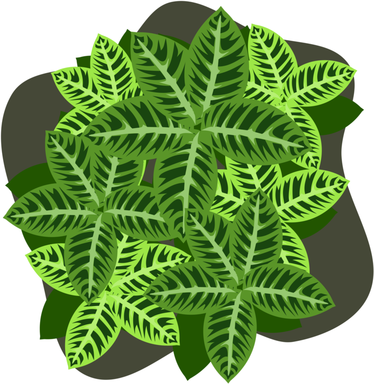 Four Leaf Clover Plant Four Leaf Clover Shamrock - Four-leaf Clover (750x750), Png Download