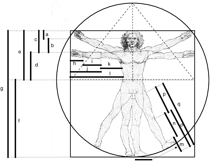 Leonardo Da Vinci's Interpretation Of Vitruvius - Drawing (717x544), Png Download