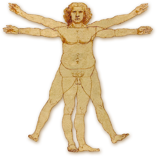 Overweight Vitruvian Man - Vitruvian Man Logo Transparent (600x600), Png Download