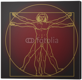 Vitruvian Man Vector (400x400), Png Download