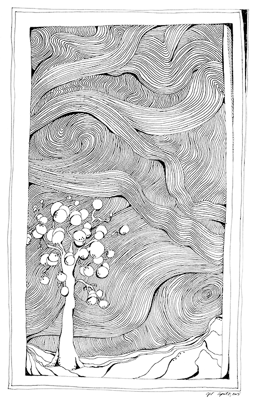 Little Snowball Tree Pen & Ink Art - Drawing (800x800), Png Download