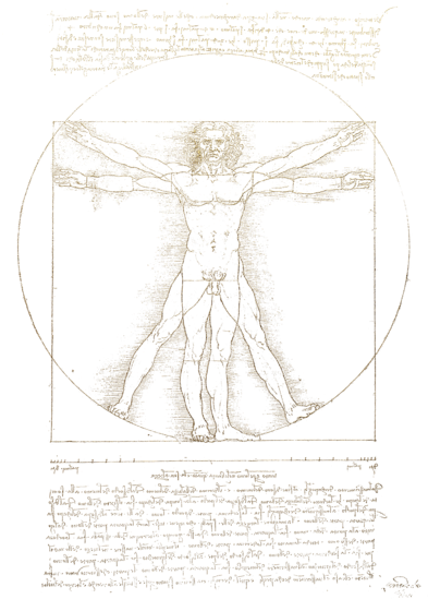 Vitruvian Man By Leonardo Da Vinci In Gold On Black - Leonardo Da Vinci (466x700), Png Download