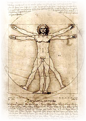 Chelovek - Proportions Of The Human Figure (the Vitruvian Man) (300x419), Png Download