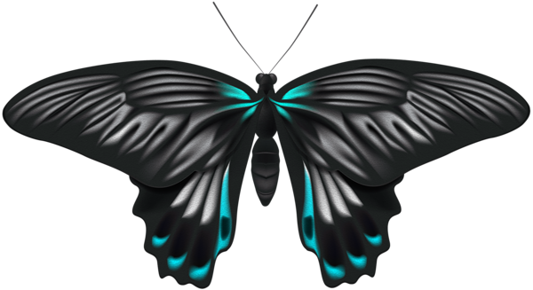 Black Blue Butterfly Png Clip Art Image - Black Butterfly Clipart Png (600x327), Png Download