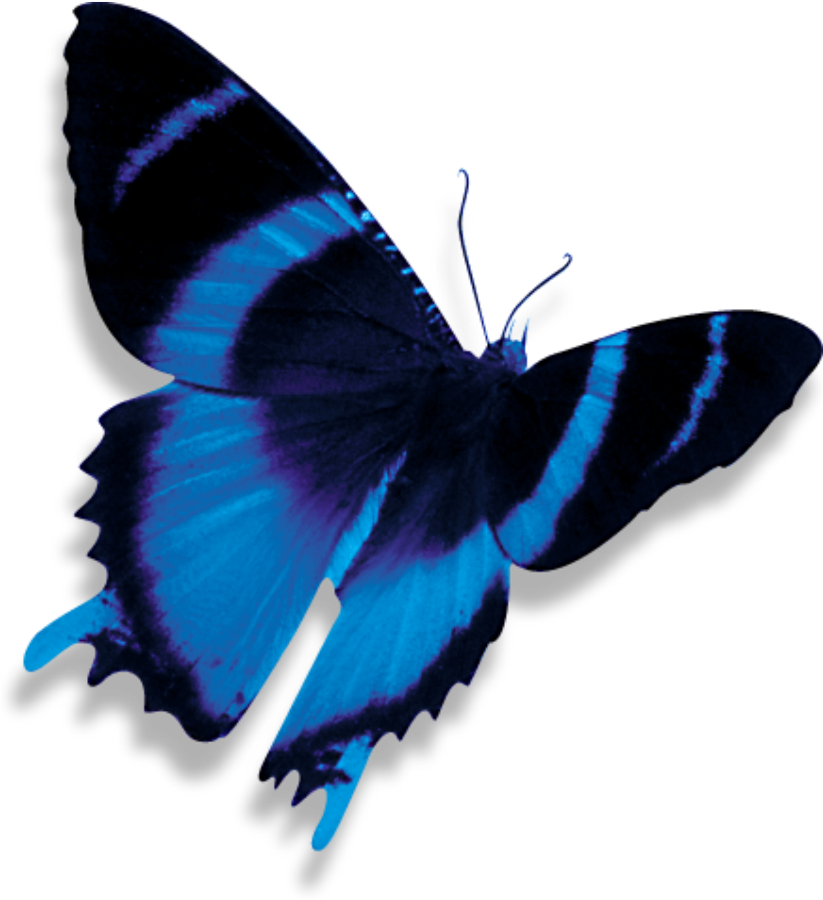 Short Story (1068x1024), Png Download