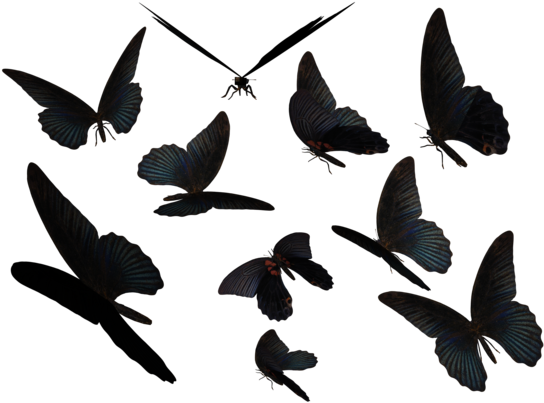 Blue Swallow Tail Butterflies By Madetobeunique On - Butterfly Tumblr Png (600x420), Png Download