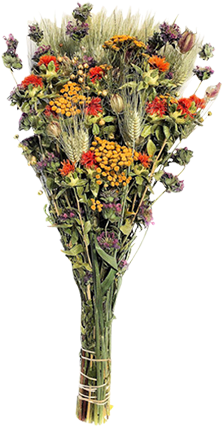 Dried Fantastic Flower Bouquet - Single Bunch By Dried (600x600), Png Download