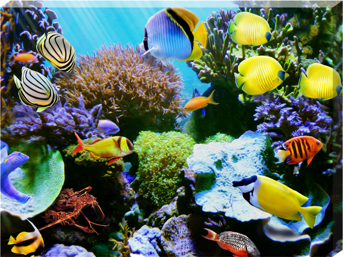 Tropic Wonder Dos - Drawing (1258x967), Png Download