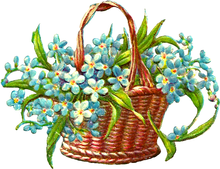 Forget Me Not Flower Clip Art - Flowers In Basket Clip Art (976x789), Png Download