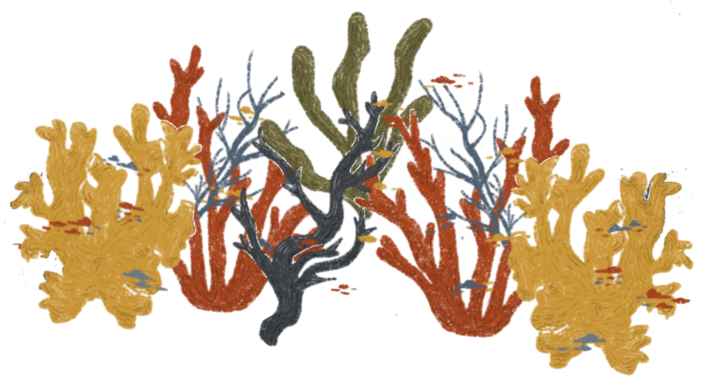 Illustration By Carla Crespo (1000x582), Png Download