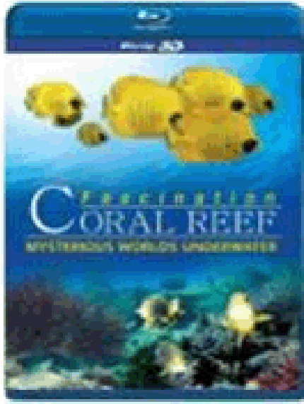 Coral Reef 3d - Fascination Coral Reef 3d Mysterious Worlds Underwater (1200x1200), Png Download