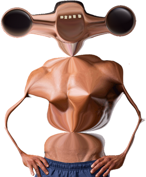 Photo - Bodybuilding (530x594), Png Download