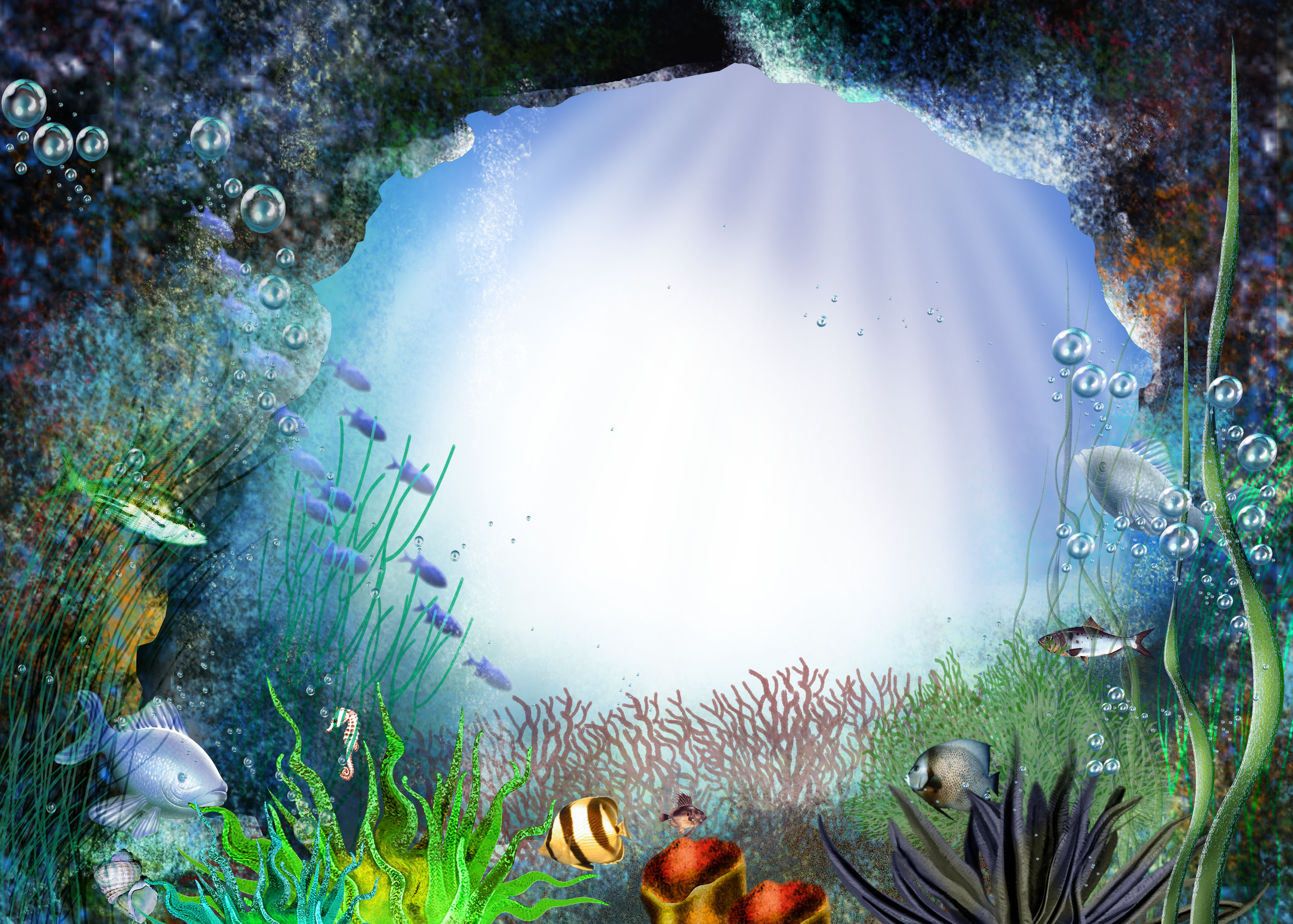 Coral Reef Png (2480x1772), Png Download