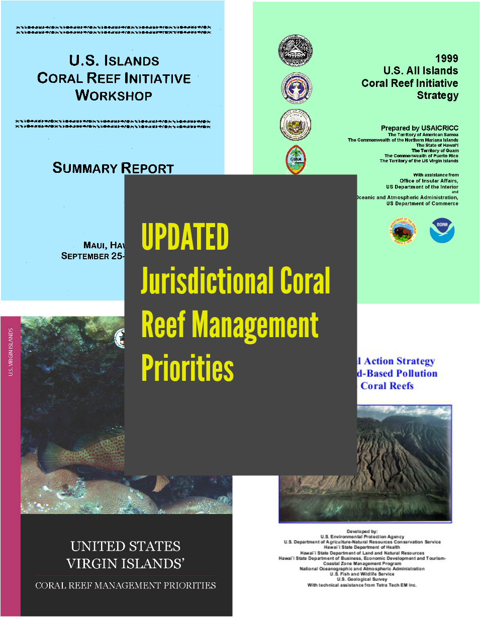 Coral Reef (1035x1297), Png Download