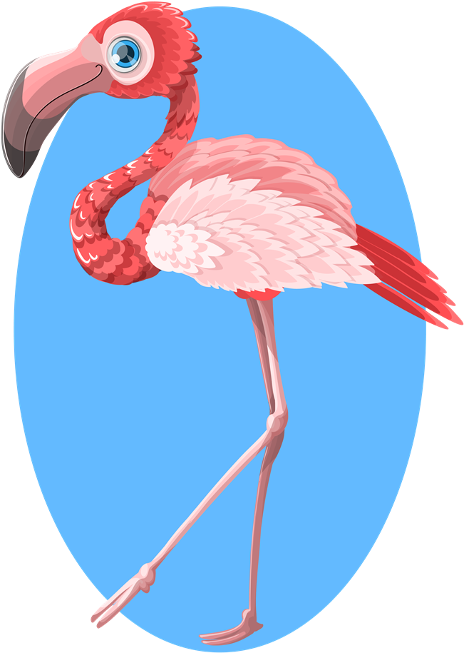Flamingo Clipart Swimming - Flamingo (800x986), Png Download
