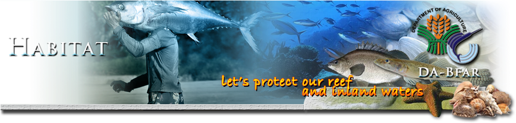 Philippine Coral Reefs - Republic Act No 8550 (1040x250), Png Download