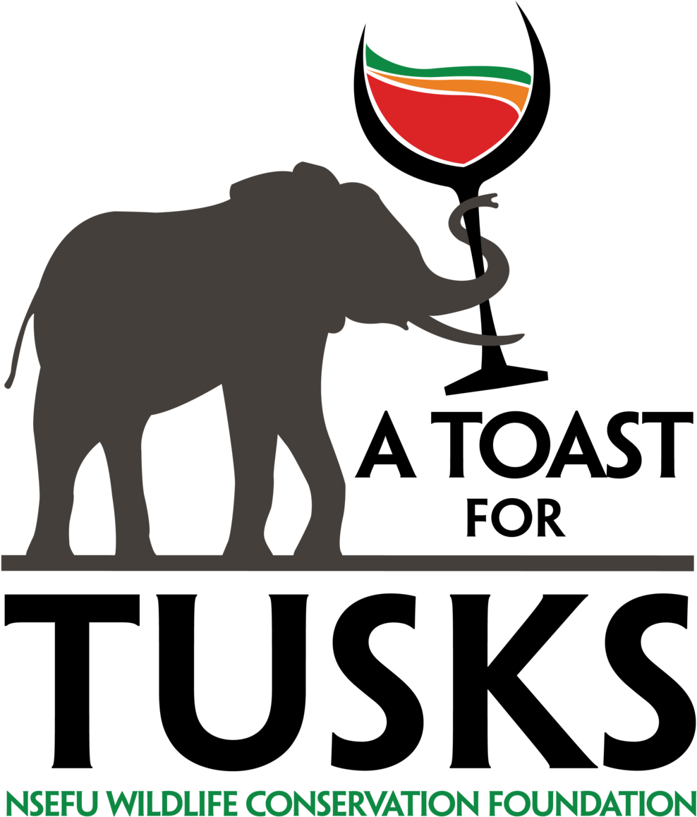 Toastfortusks 01 - Elephant (1000x1165), Png Download