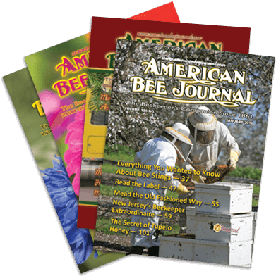American Bee Journal Subscriptions - American Bee Journal (400x400), Png Download