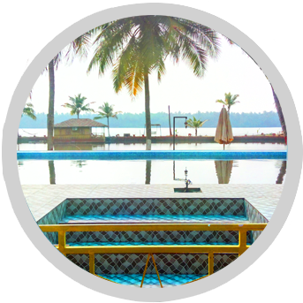 Swimming - Palm Tree (350x350), Png Download