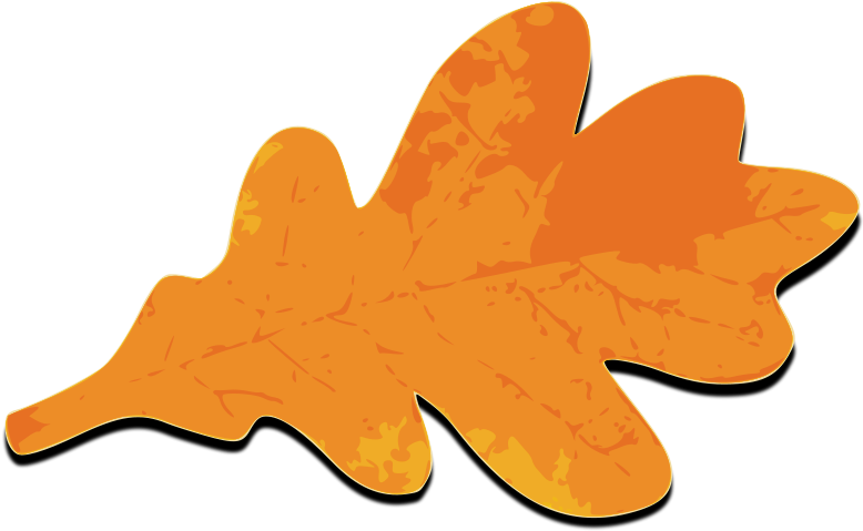 Fall Leafs Orange Png Images - Oak Leaves Clip Art (778x479), Png Download