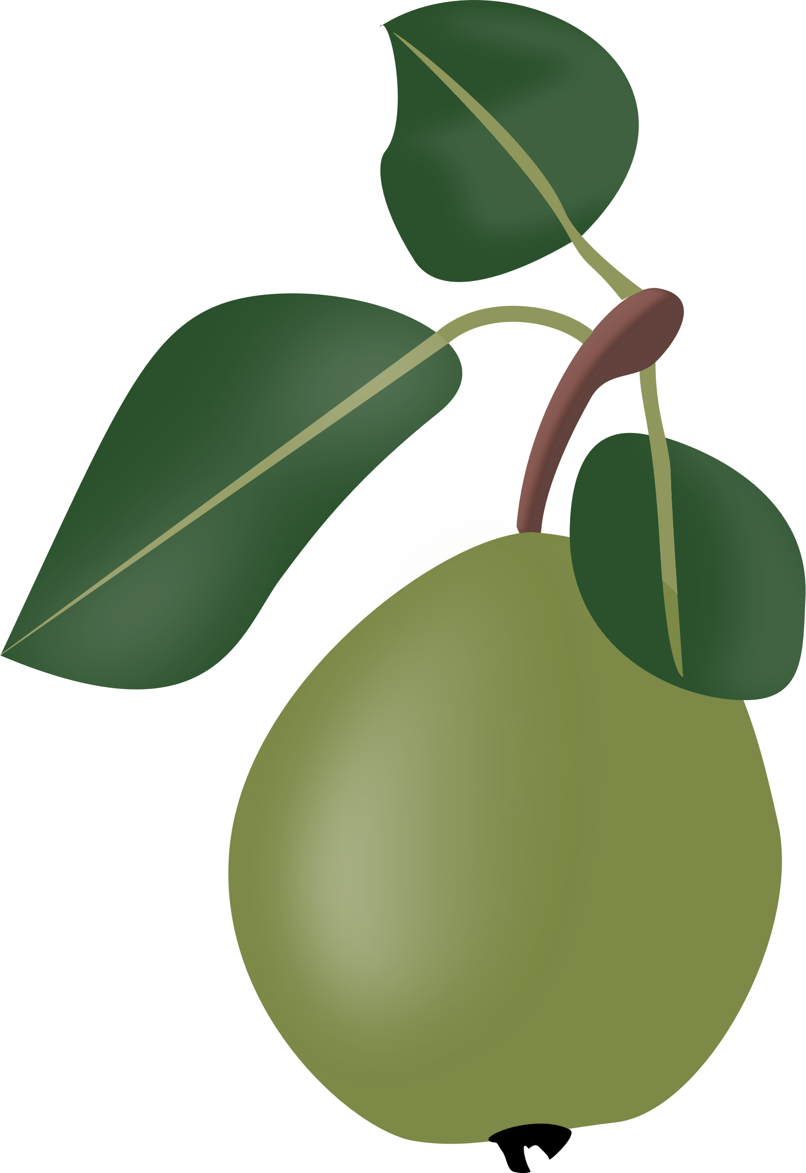 This Free Icons Png Design Of Stew Pear With Leafs (1650x2400), Png Download
