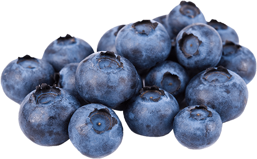 Blueberries - Low Carb Fruits (600x500), Png Download