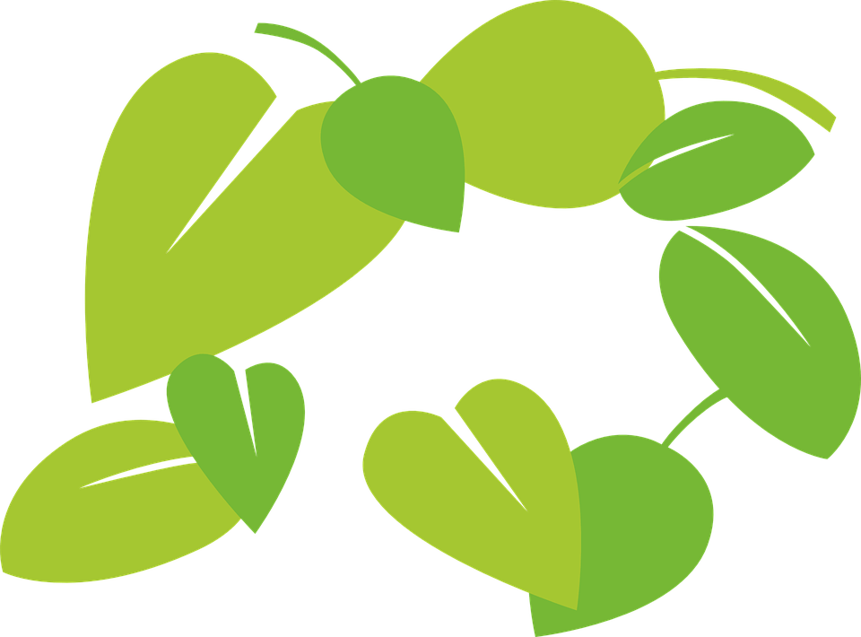 Free Vector Graphic Leaves Green Flora Image On - ภาพ เวก เตอร์ ใบไม้ (960x710), Png Download