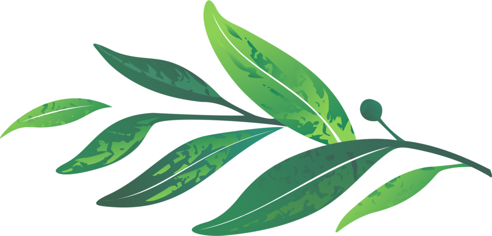 Leaves - Portable Network Graphics (1000x481), Png Download