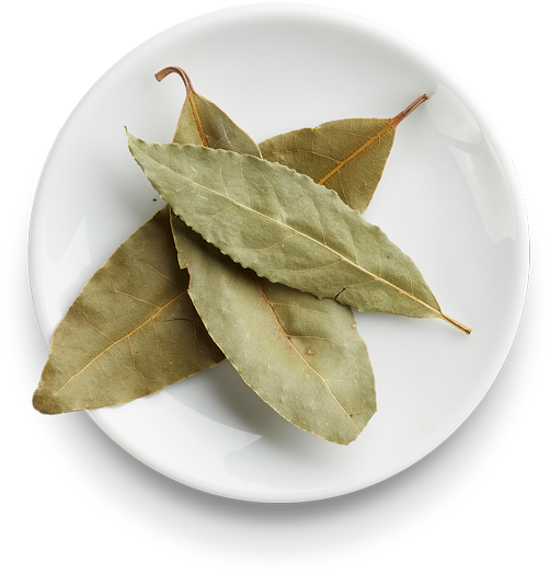 Laurel Leaves - Doypack (600x600), Png Download