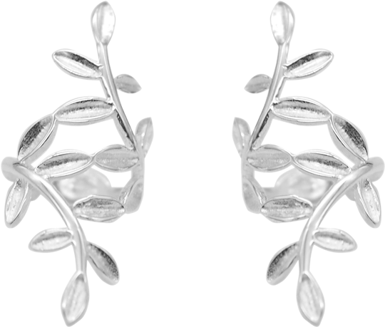 Silver No Hole Earrings Cartilage Laurel Leaves Branches - Earrings (800x800), Png Download