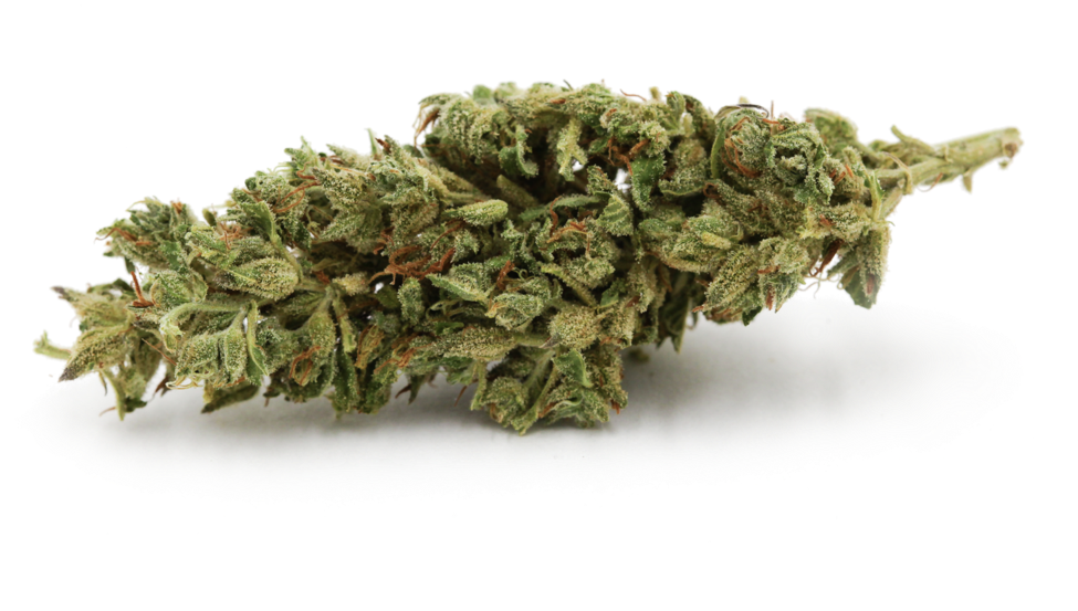 Blue Cookies - - Cookie (1000x667), Png Download