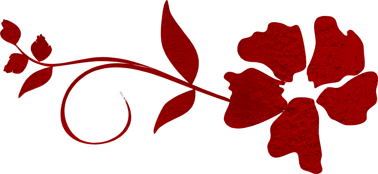 ลาย ดอกไม้ สี แดง (1280x590), Png Download