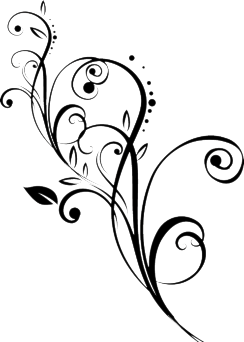 Flourish Vector Png - Flourish Png Hd (496x693), Png Download