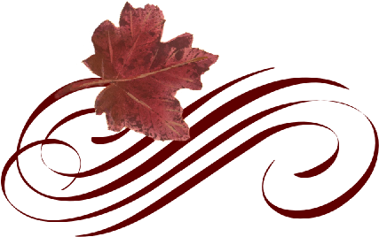 Leaf Flourish - Leaf Flourishes (519x346), Png Download