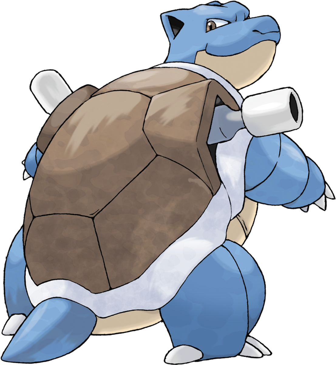 Blastoise - Pokemon Go Squirtle Evolucion (1200x1200), Png Download