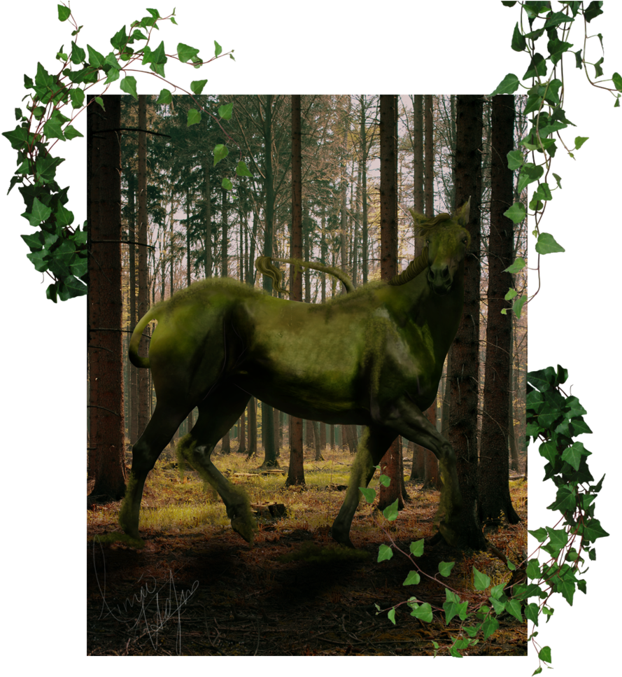 Jungle By Black Lotus Designs - Portable Network Graphics (900x1071), Png Download