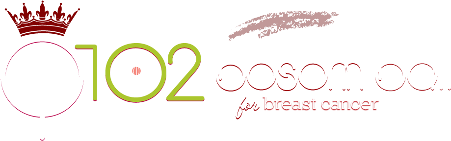 Q102 Bosom Ball For Breast Cancer Presented By Michelob - Helix Trading Ltd Helix Maped Hb Graphite Pencils (pack (1026x316), Png Download