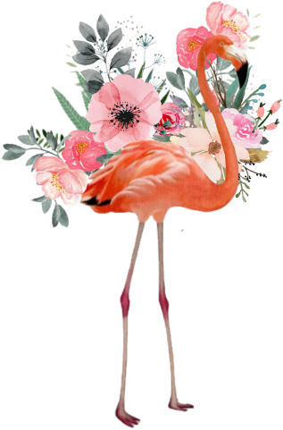 Largest Collection Of Free To Edit Summer Anime Tokyo - Happy 50th Birthday: Birthday Party Guest Book [book] (480x480), Png Download