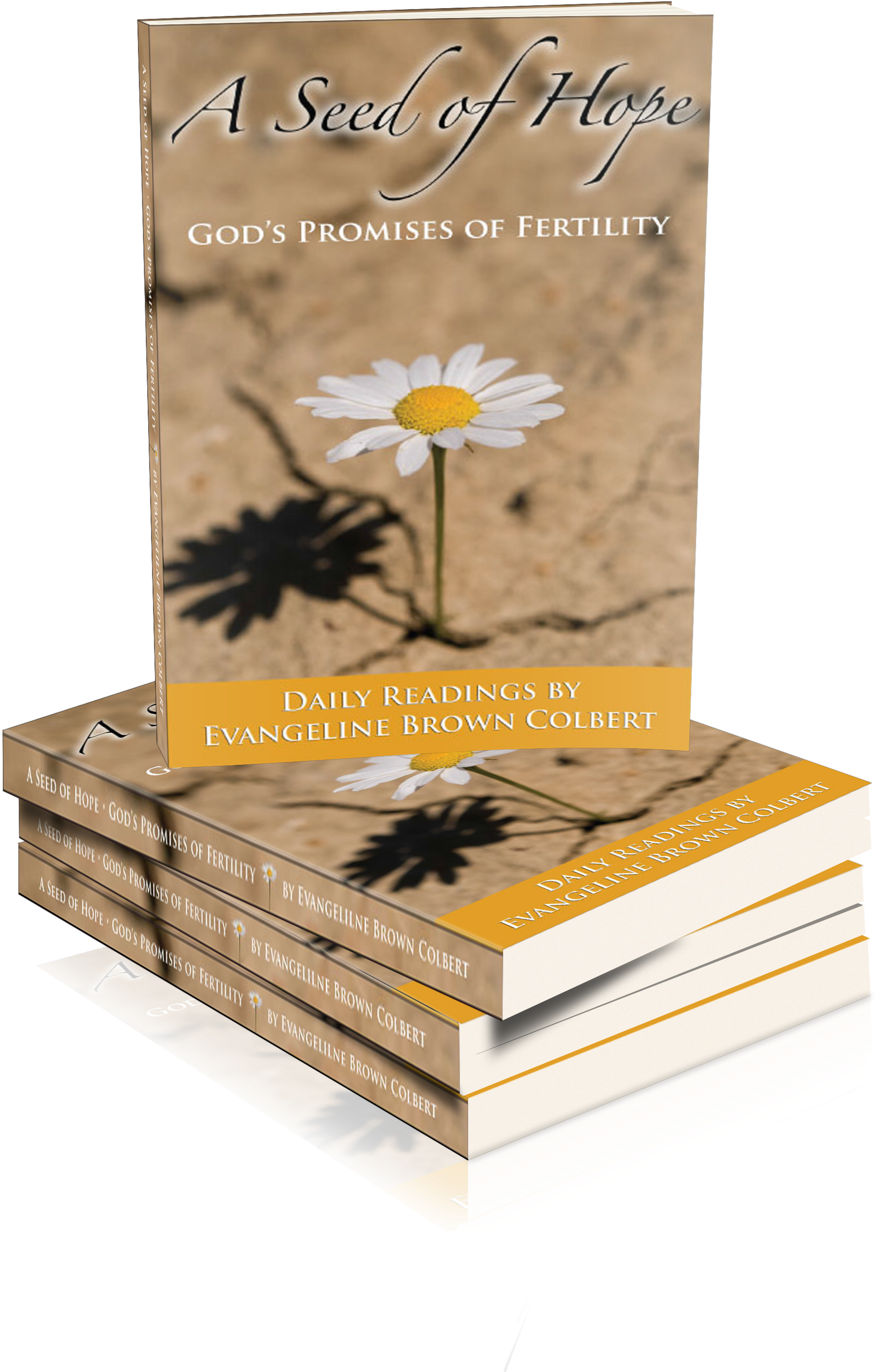 Ash Cover Stack Fiverr - Seed Of Hope: God's Promises Of Fertility [book] (2400x3000), Png Download