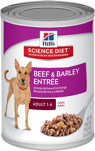 Sd Adult Beef And Barley Entree Dog Food Canned Productshot - Science Diet Dog Food Cans (500x500), Png Download