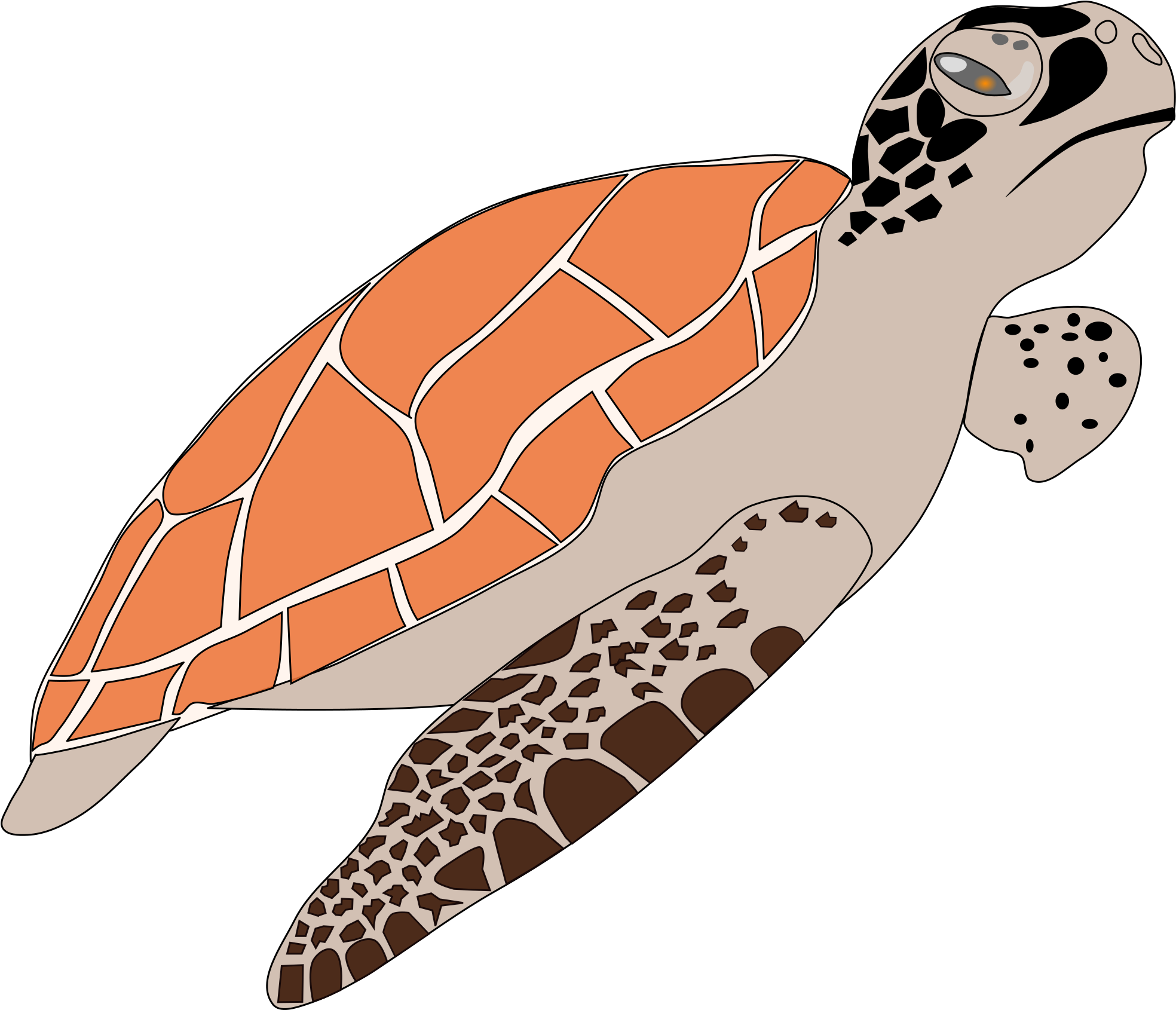 This Free Icons Png Design Of Sea Turtle (2400x1800), Png Download