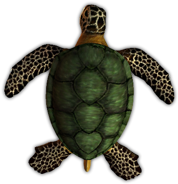 24 Mar 2009 - Dundjinni Turtle (379x400), Png Download