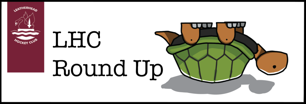 Turtle - Love (1000x339), Png Download