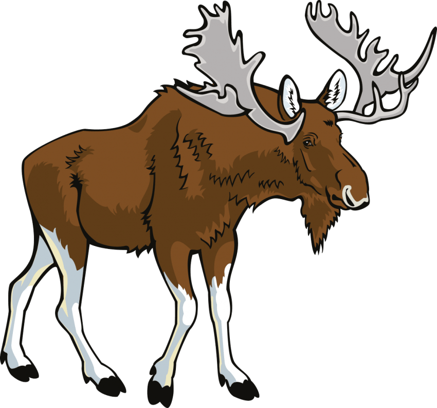 Free Png Moose Png Images Transparent - Moose Clipart (850x793), Png Download