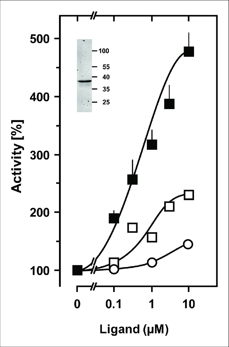 Stimulation Of The Chimera Cqss 1 181 F166l Rv1625c - Ligand (753x1142), Png Download