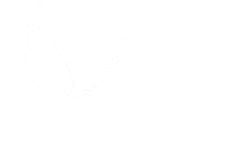 Bansea Bansea Bansea - High Elf (794x493), Png Download