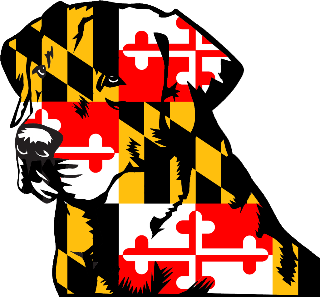 Maryland 3'x5' Flag Usa United States (1200x1200), Png Download