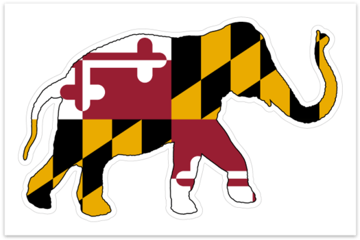 Elephant Overlaid With The Maryland Flag - Indian Elephant (530x394), Png Download